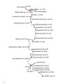 Wilkau-Haßlau - Carlsfeld | Die erste, steilste und längste Schmalspurbahn Sachsens