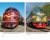 Rundnasen und Kartoffelkäfer | Die NoHAB-Europalokomotiven