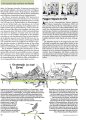Reichsbahn unterm Roten Stern | Militärzüge der Sowjets in Deutschland 1945 – 1994