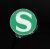 PIN: Aktuelles Logo S-Bahn