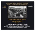 Schmalspur-Album Schlesien | Band 1 | Elektrischer...