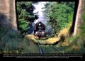 Wolsztyn, Steam & Dream – Dampflokomotiven in Polen