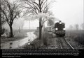 Wolsztyn, Steam & Dream – Dampflokomotiven in Polen
