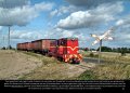 Wolsztyn, Steam & Dream – Dampflokomotiven in Polen