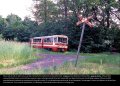 Wolsztyn, Steam & Dream – Dampflokomotiven in Polen